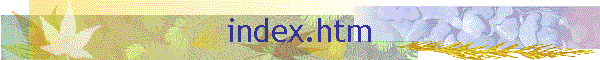 index.htm